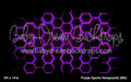 Purple Sports Honeycomb (MD)