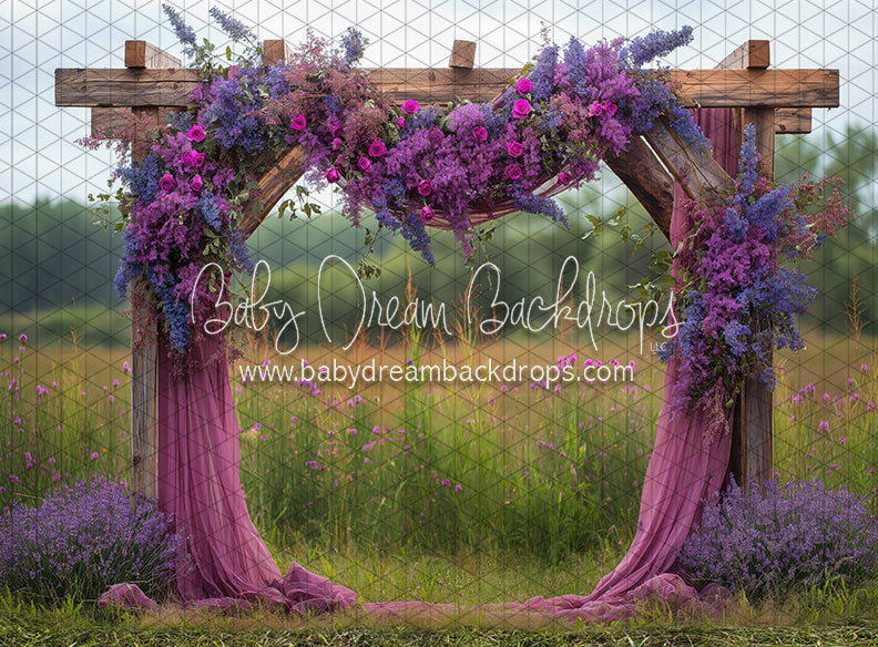Purple Beauty Arch (JA)