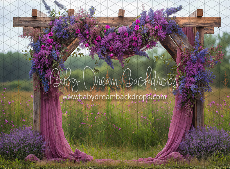 Purple Beauty Arch (JA)