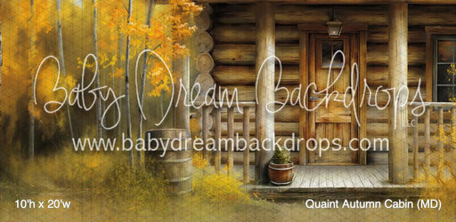 Quaint Autumn Cabin (MD)