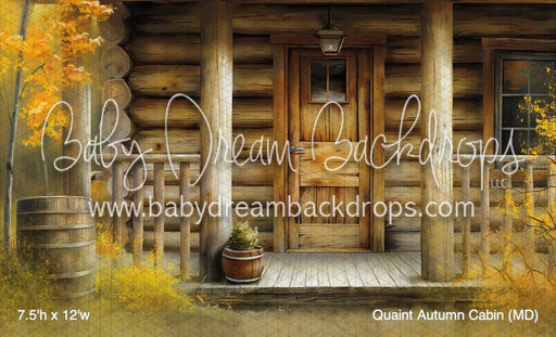 Quaint Autumn Cabin (MD)