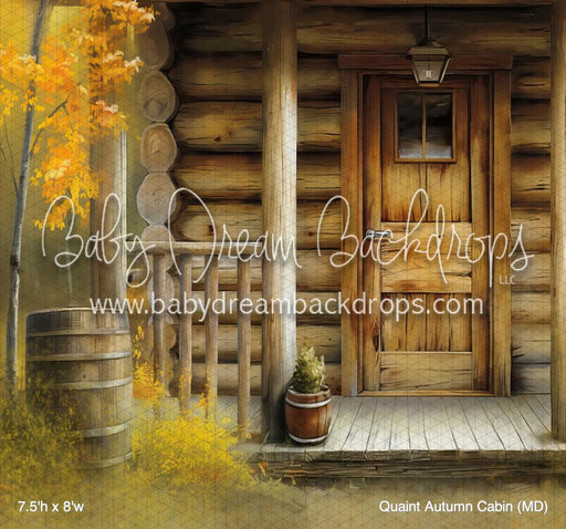 Quaint Autumn Cabin (MD)