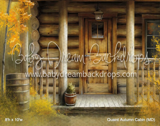 Quaint Autumn Cabin (MD)