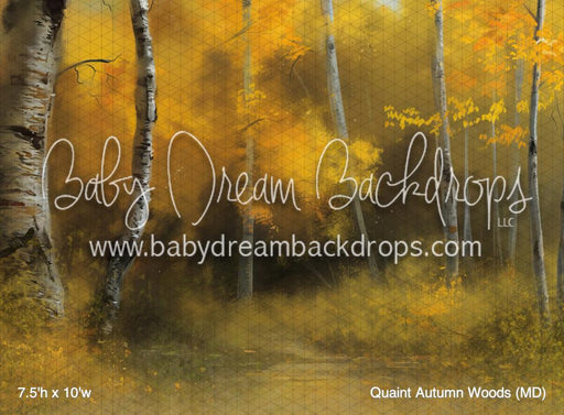 Quaint Autumn Woods (MD)