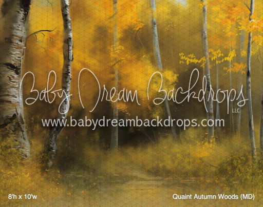 Quaint Autumn Woods (MD)