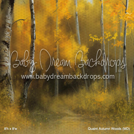 Quaint Autumn Woods (MD)