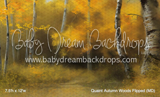 Quaint Autumn Woods Flipped (MD)