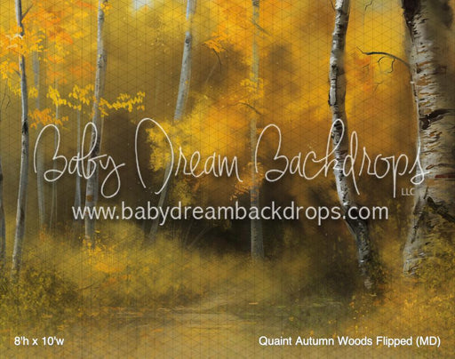 Quaint Autumn Woods Flipped (MD)