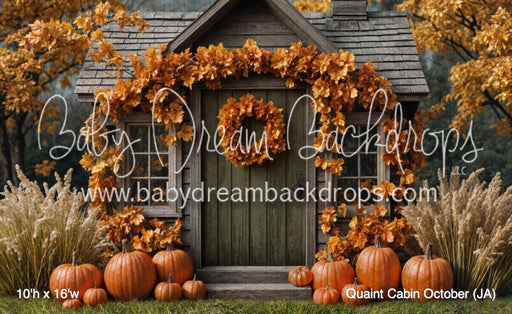 Quaint Cabin October (JA)