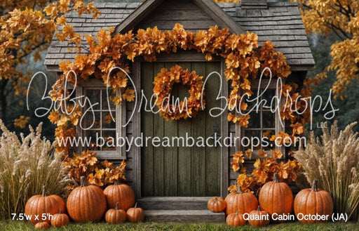 Quaint Cabin October (JA)