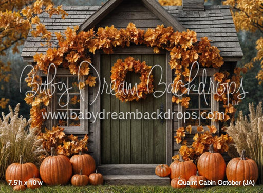 Quaint Cabin October (JA)