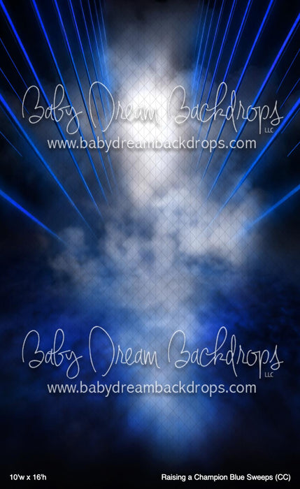 Raising a Champion Blue Sweeps (CC)