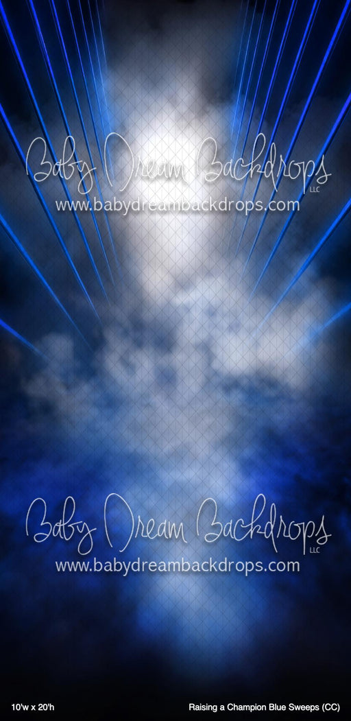 Raising a Champion Blue Sweeps (CC)