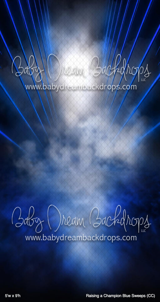 Raising a Champion Blue Sweeps (CC)