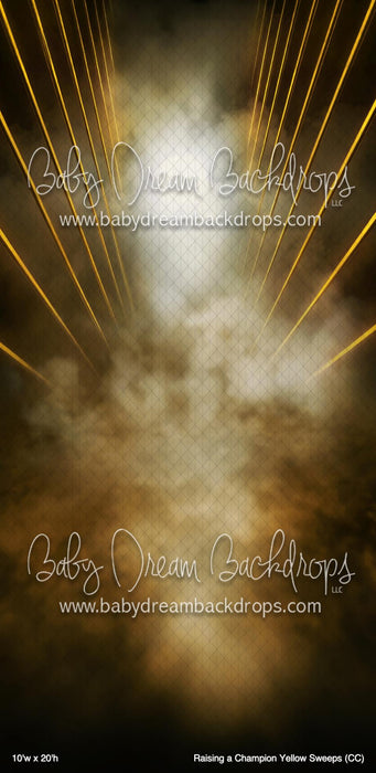 Raising a Champion Yellow Sweeps (CC)