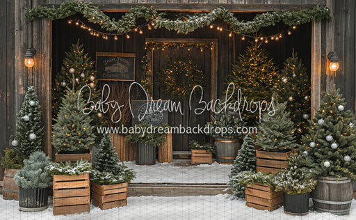 Ready to Take Trees (JA)