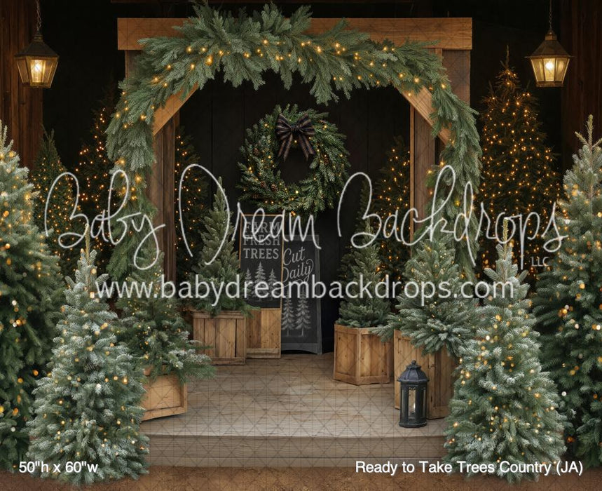 Ready to Take Trees Country (JA)