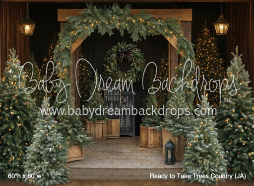 Ready to Take Trees Country (JA)