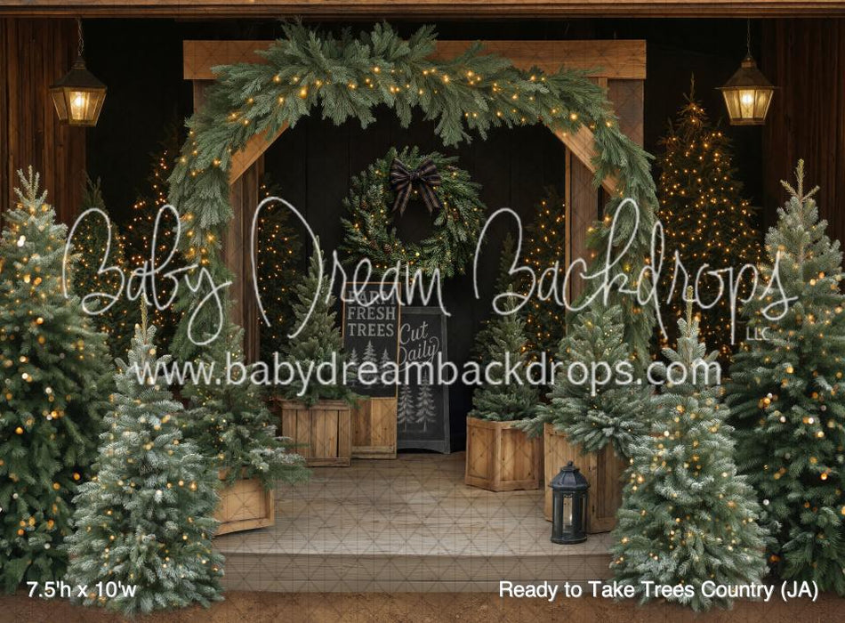 Ready to Take Trees Country (JA)