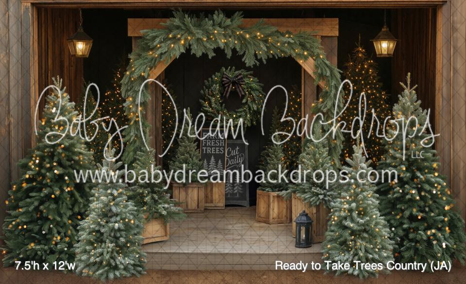 Ready to Take Trees Country (JA)