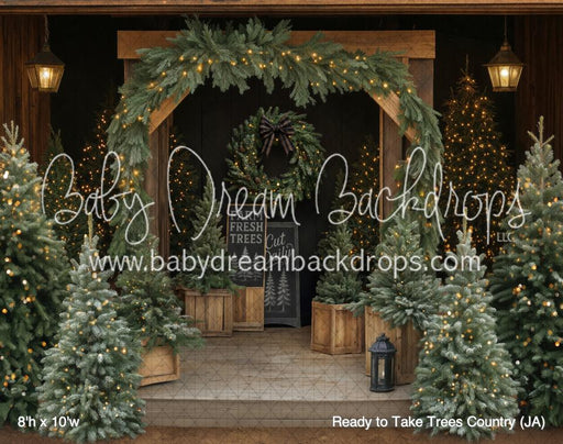 Ready to Take Trees Country (JA)