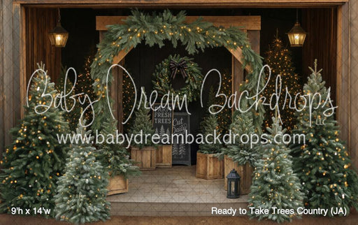 Ready to Take Trees Country (JA)