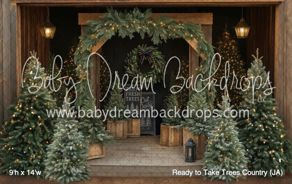 Ready to Take Trees Country (JA)