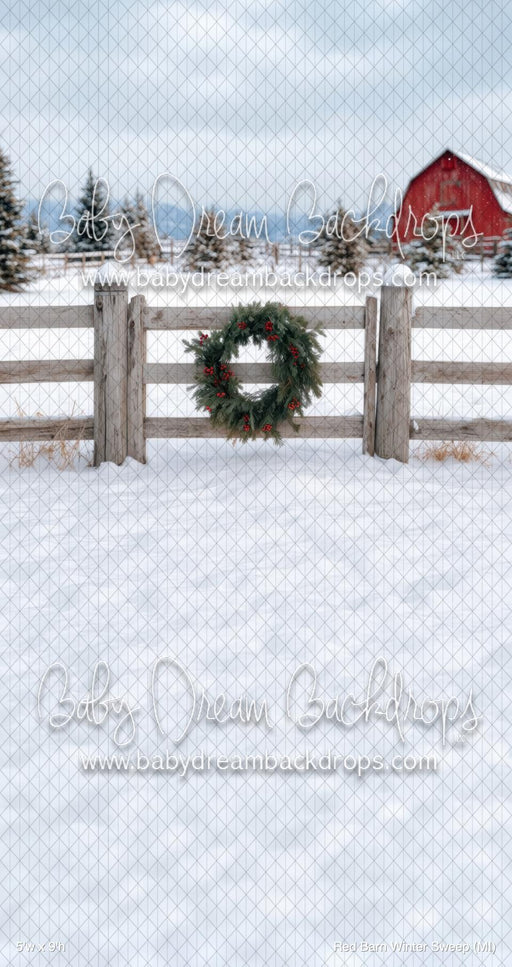 Red Barn Winter Sweep (MI)