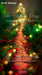 Sweeps Red and Green Christmas Walkway (SM)