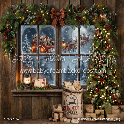 Reindeer Express Window (CC)