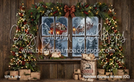 Reindeer Express Window (CC)