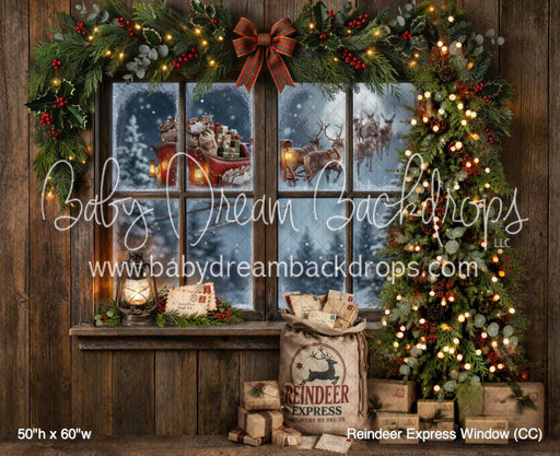 Reindeer Express Window (CC)