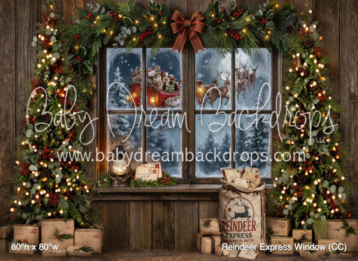 Reindeer Express Window (CC)