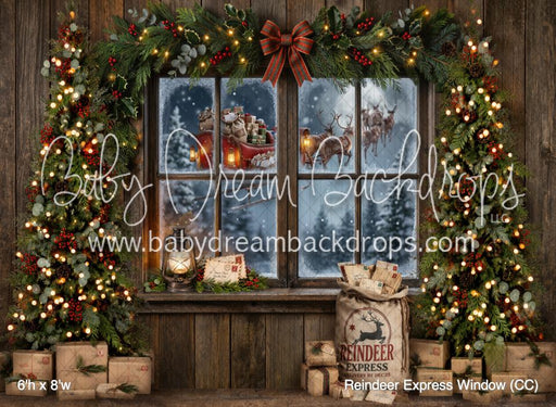 Reindeer Express Window (CC)