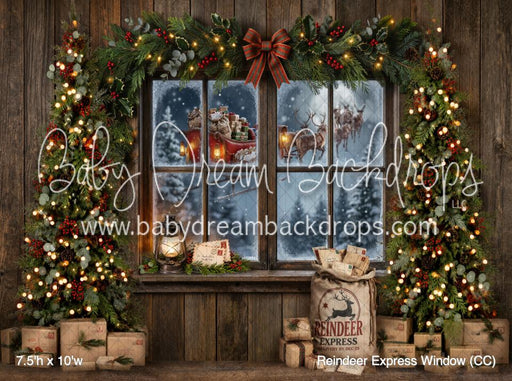Reindeer Express Window (CC)