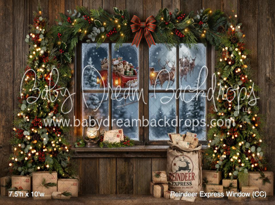 Reindeer Express Window (CC)