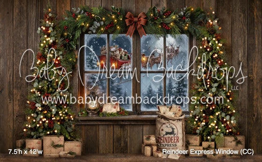 Reindeer Express Window (CC)