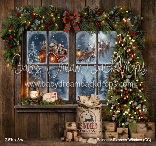 Reindeer Express Window (CC)