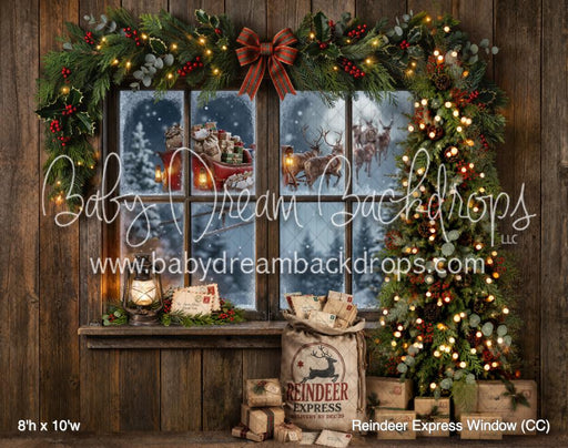 Reindeer Express Window (CC)