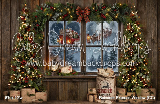 Reindeer Express Window (CC)