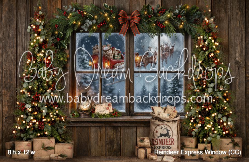 Reindeer Express Window (CC)