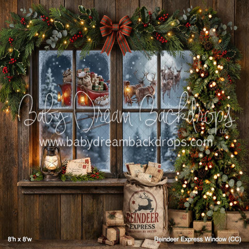 Reindeer Express Window (CC)