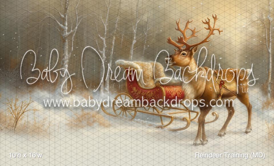 Reindeer Training (MD)