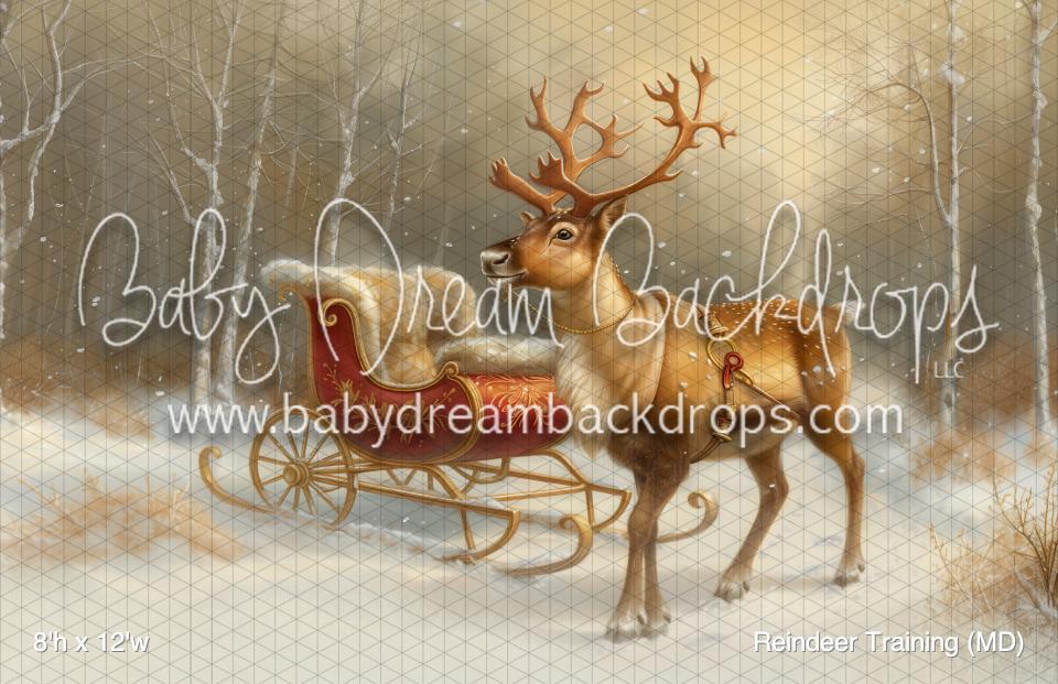 Reindeer Training (MD)