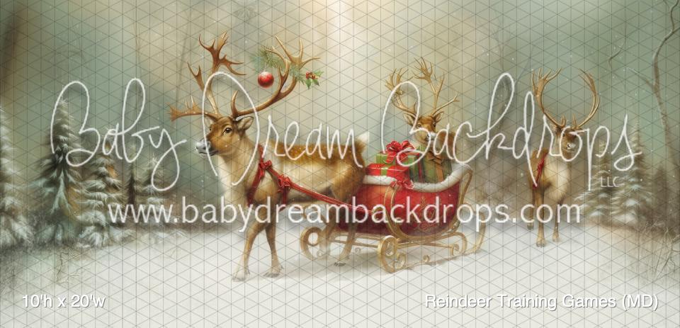 Reindeer Training Games (MD)