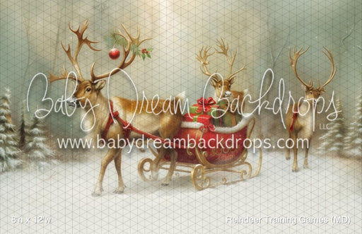 Reindeer Training Games (MD)