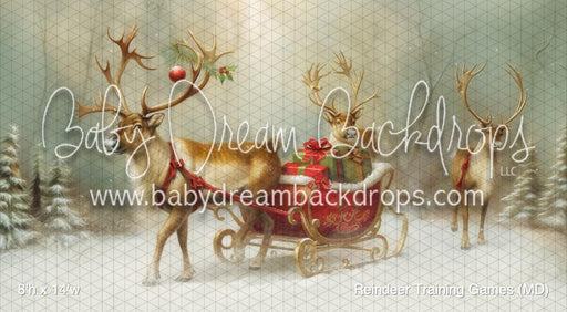 Reindeer Training Games (MD)