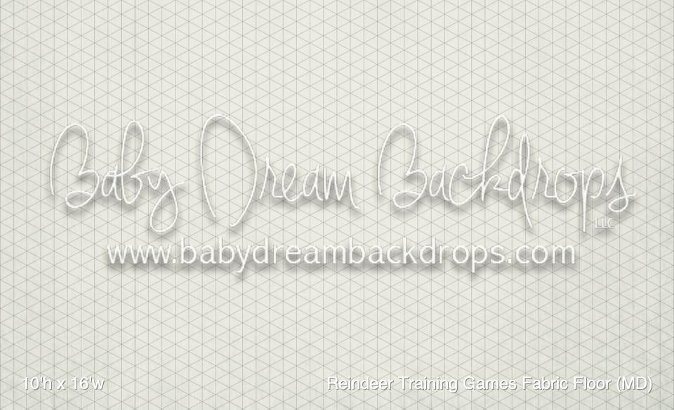 Reindeer Training Games Fabric Floor (MD)