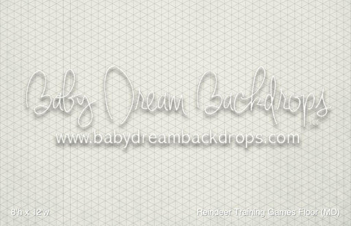 Reindeer Training Games Floor (MD)