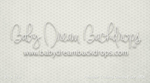 Reindeer Training Games Floor (MD)